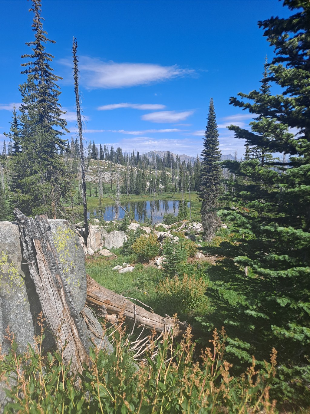 The Cultural Shift in Outdoor Recreation and What to Do About&nbsp;It